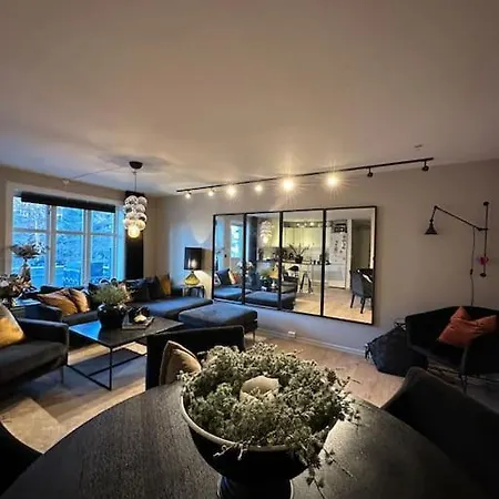 Romslig Til Leie Apartment